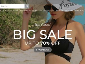 Bikini & Swimwear Website | Potential Profit: 5000$/month