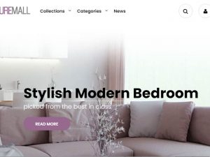 Furniture & Home Decor Website | Potential Profit: 5000$/month