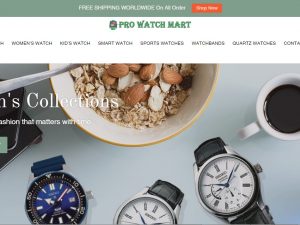 Watch Dropship Ecommerce Website | Potential Profit: 5000$/month