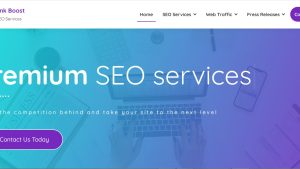 Outsourced SEO business | Potential Earning: 5000$/month