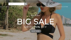 Bikini & Swimwear Website | Potential Profit: 5000$/month