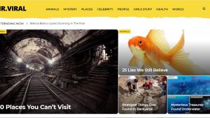 Established Viral Website | Potential Profit: 5000$/month