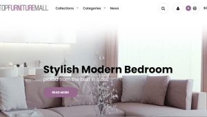 Furniture & Home Decor Website | Potential Profit: 5000$/month