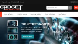 ELECTRONICS/GADGETS Website | Potential Profit: 9000$/month