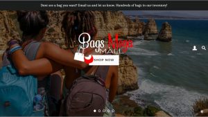 Bags Dropship Ecommerce Website | Potential Profit: 5000$/month