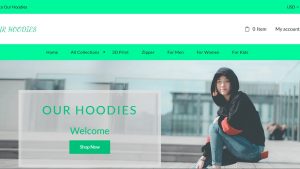 Hoodies Dropship Ecommerce Website | Potential Profit: 5000$/month