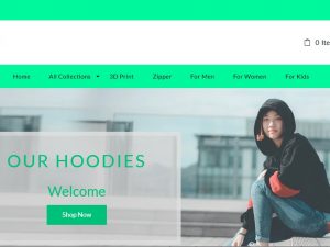 Hoodies Dropship Ecommerce Website | Potential Profit: 5000$/month