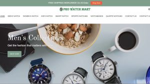 Watch Dropship Ecommerce Website | Potential Profit: 5000$/month