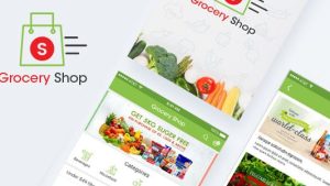 Grocery Shop Website Design | Website Development