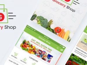 Grocery Shop Website Design | Website Development