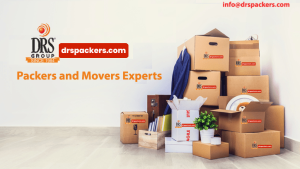 Packers and Movers  Website Design | Website Development