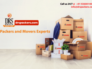 Packers and Movers  Website Design | Website Development