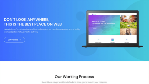 Software Website Design | Website Development