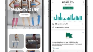 Premade Shopify Dropshipping Store | Prebuilt Shopify Store | Any Niche