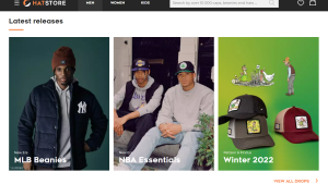 Hats Readymade Dropship Store | Potential Profit: 5000$/month