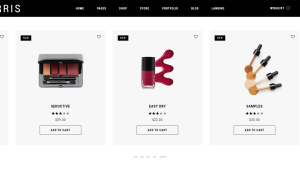 Makeup Readymade Dropship Store | Potential Profit: 5000$/month
