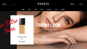 Makeup Readymade Dropship Store | Potential Profit: 5000$/month