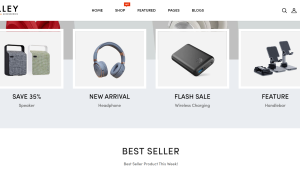 Phone Accessories Readymade Dropship Store | Potential Profit: 5000$/month