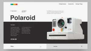 Polaroid Camera Readymade Dropship Store | Potential Profit: 5000$/month