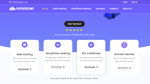 Hosting Website for Sale | Potential Profit: 5000$/month