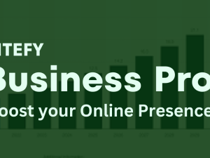 Sitefy Business Pro for Business Owners