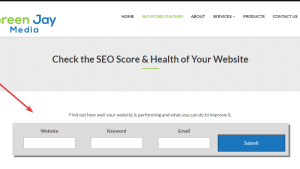 SEO Audit Website for Sale | Prebuilt SEO Audit Website