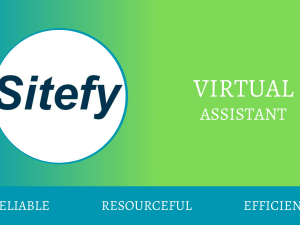 You will get Monthly Virtual Assistant Services
