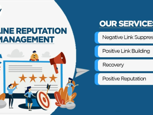 You will get Monthly Online Reputation Management (ORM) Service for Individual or Brand