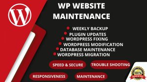 You will get Monthly WordPress Website Maintenance And Support Service