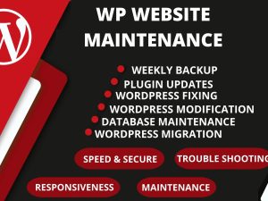 You will get Monthly WordPress Website Maintenance And Support Service