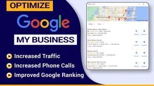 You will get Monthly Google Business Profile Management Service