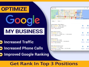You will get Monthly Google Business Profile Management Service