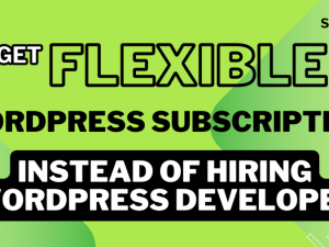 WordPress Development Subscription – Unlimited wordpress design, development, maintenance work