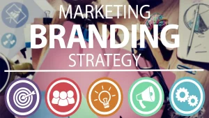 We will create a marketing strategy for your business