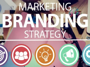 We will create a marketing strategy for your business