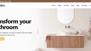 Bathroom Accessories Website | Potential Profit: 6000$/month
