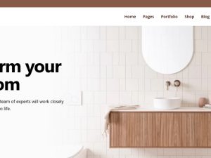 Bathroom Accessories Website | Potential Profit: 6000$/month