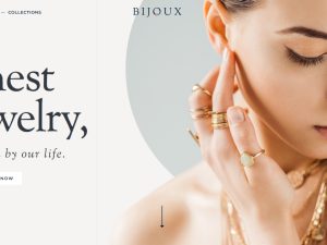 Jewelry Products Website | Potential Profit: 5000$/month