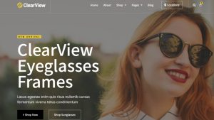 Sunglasses Dropship Website | Potential Profit: 6000$/month