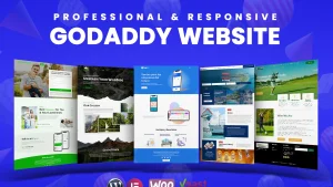 We will develop a professional and responsive godaddy website