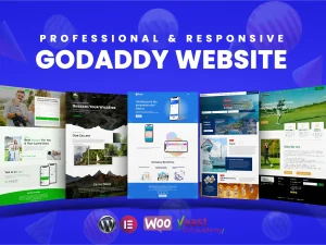 We will develop a professional and responsive godaddy website