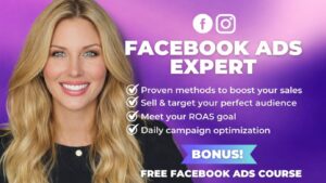 We will manage your meta ads entirely, facebook and instagram ads